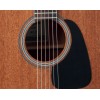 Takamine GD11MNS
