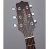 Takamine GD11MNS