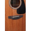 Takamine GD11MNS