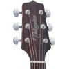 TAKAMINE GN20CENS