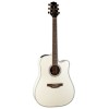Takamine GD37CE-PW