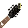 D'Addario PW-CT-17YL
