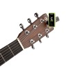 D'Addario PW-CT-17GN