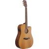 Ibanez AW65ECELG