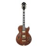 Ibanez AG95MGDA