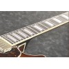 Ibanez AG95MGDA