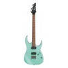 Ibanez RG421SSEM