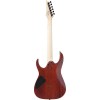 Ibanez RG421SSEM