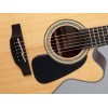 Takamine GN30CENAT