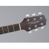 Takamine GN30BSB