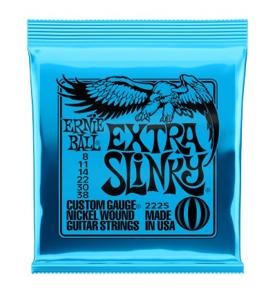 ernie Ball CEB2225