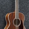 Ibanez AC340OPN