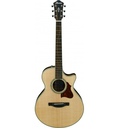 Ibanez AE205JR