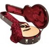 Ibanez AECDX