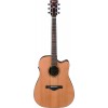 Ibanez AW65ECELG