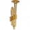 Trumpet magnetic