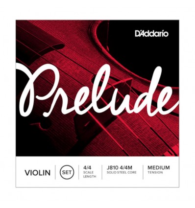 D'addario J810 4/4M