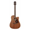 Richwood D-50-CE