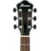 Ibanez AEWC400TKS
