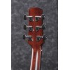 Ibanez AAD300CELGS