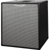 Ashdown RM-210T-EVO-III